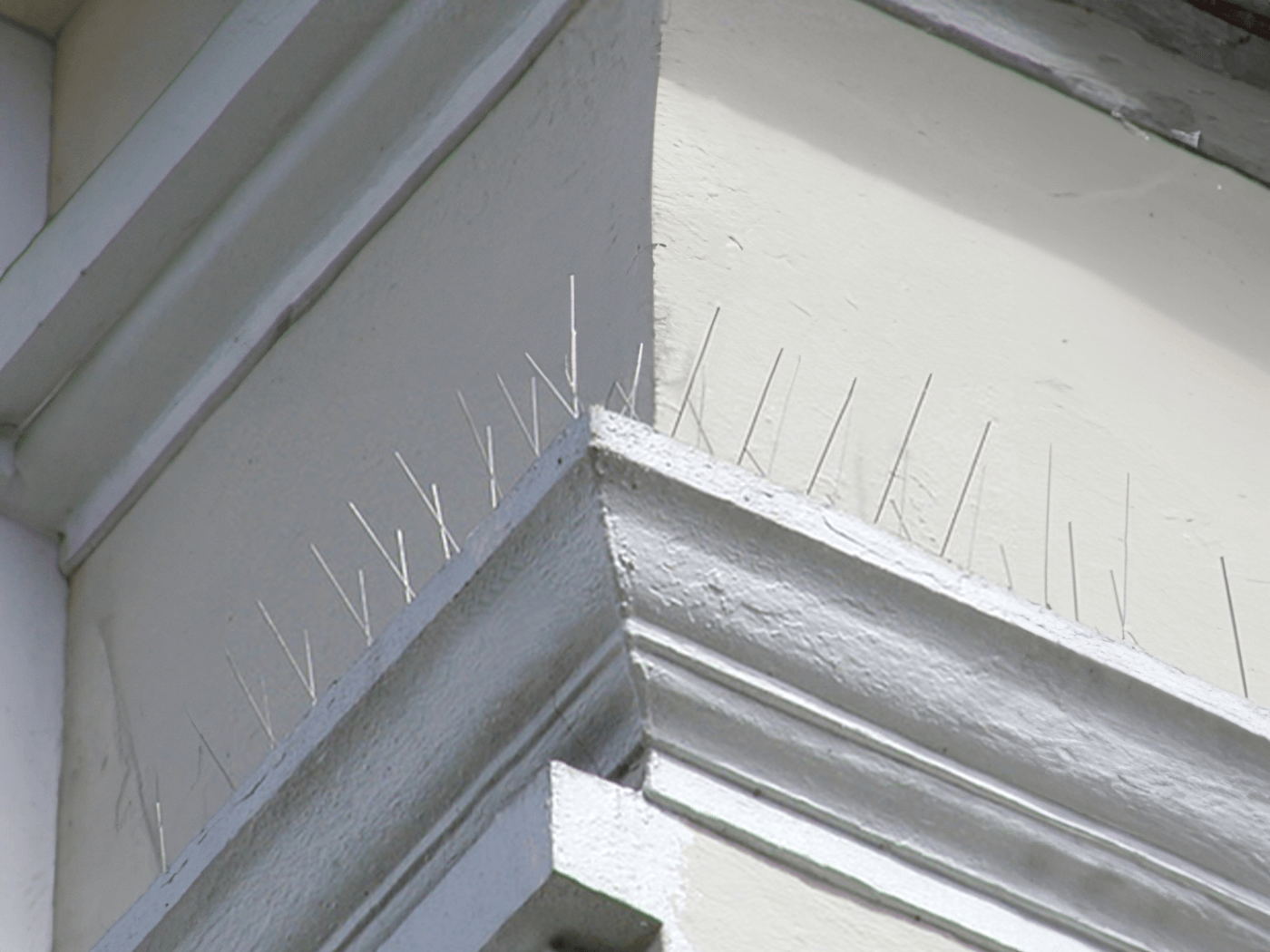 Madártüske műemlékek védelmére