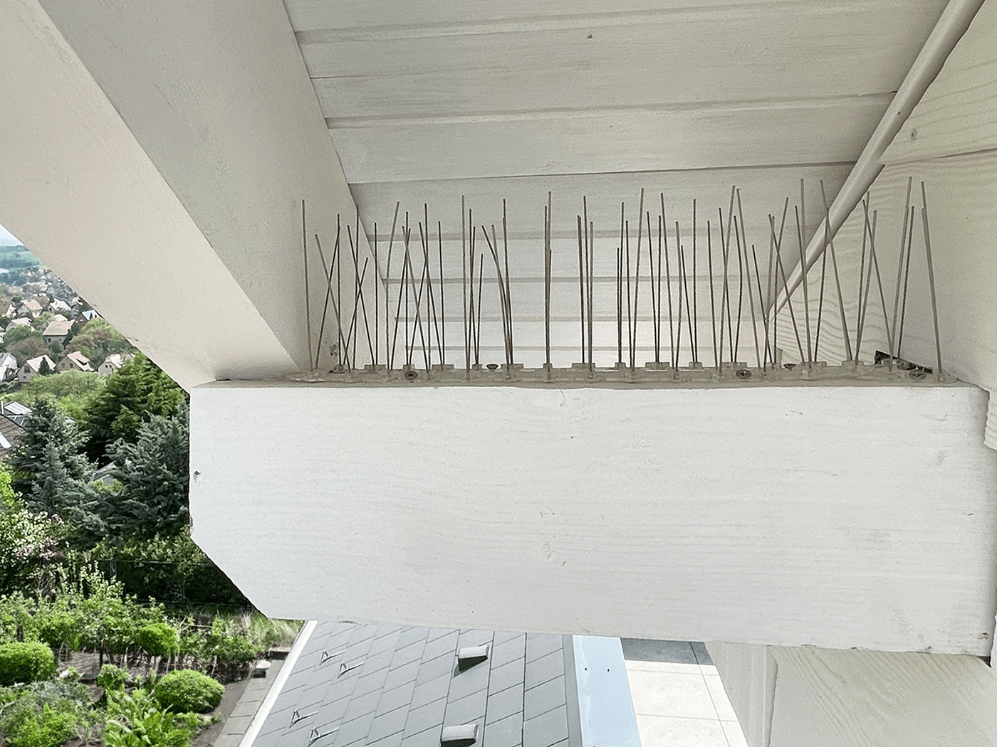 Főoldal 1 madartuske-1400-web