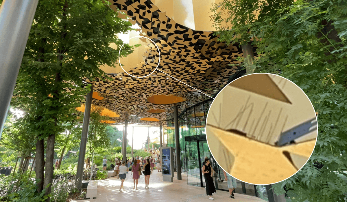 Főoldal 6 zene-muzem-madartuske-galamb-riaszto